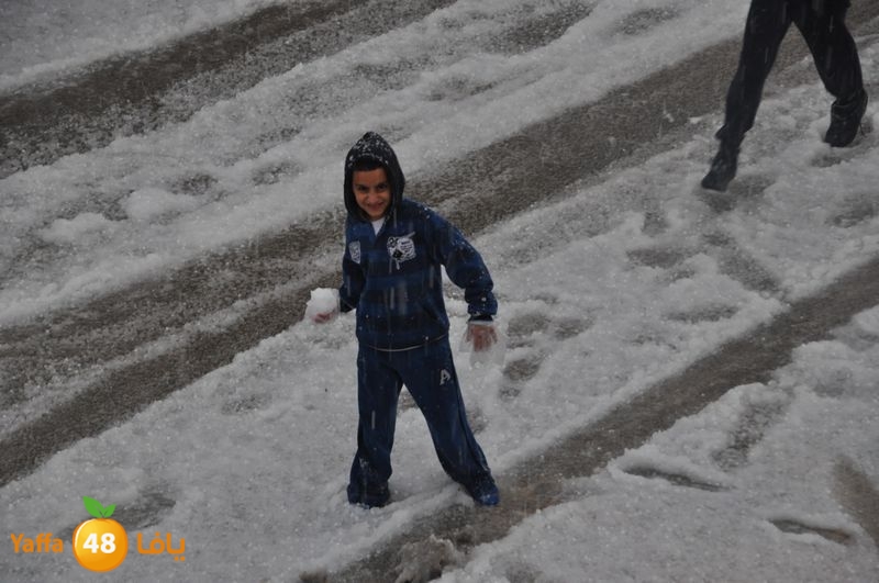 iceman lud 1213 (19).JPG